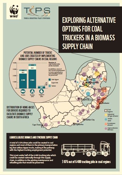 infographic x 1
